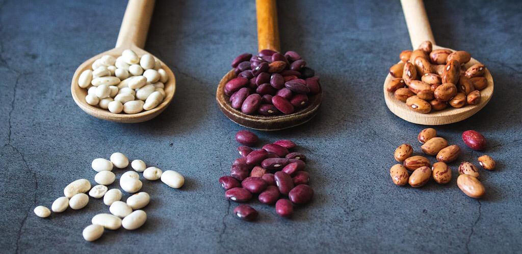 Selain susu, ini makanan untuk osteoporosis