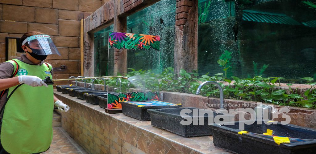 Lost World of Tambun ditutup sementara kerana pengunjung disyaki Covid-19