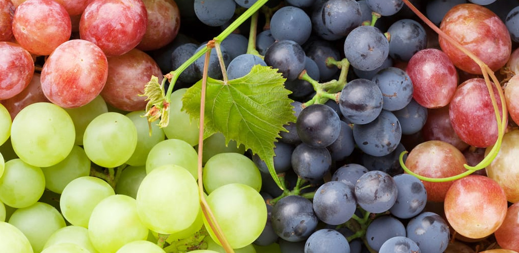 5 jenis buah-buahan yang perlu dielakkan, jika ingin diet betul