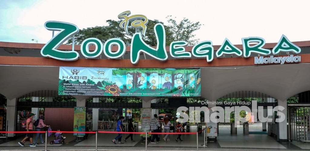 Kempen ‘santai di Zoo’, diskaun 30 peratus menanti pengunjung, boleh beli di Shopee
