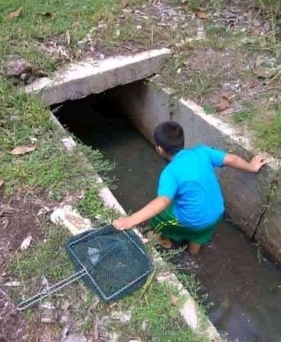 Selamatkan kucing hanyut, Adik Rayyan kagumkan warganet