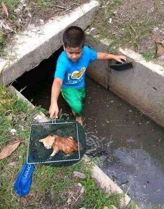 Selamatkan kucing hanyut, Adik Rayyan kagumkan warganet