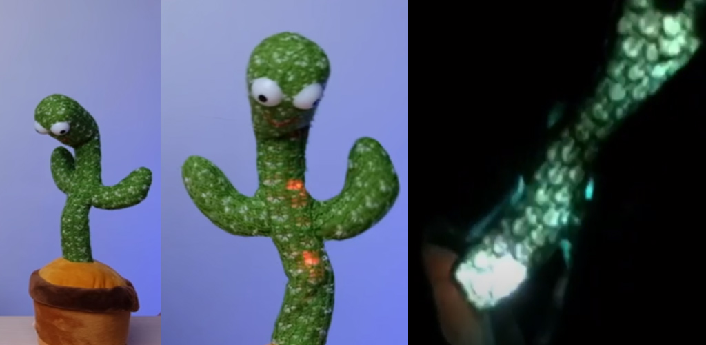 [VIDEO] Seram! Pukul 3 pagi kaktus viral, berjoget sendiri