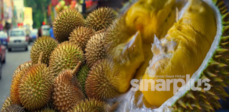9 cara mudah pilih buah durian yang best!
