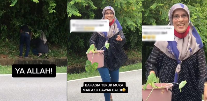 [VIDEO]'Bahagia teruk'- Gadis kongsi wajah ibu ambil pokok keladi tepi jalan curi perhatian