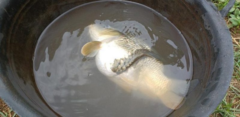 Untitled design (19)