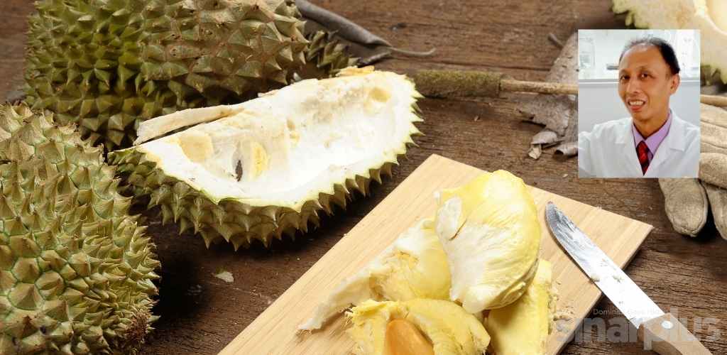 Petua minum air pangsa lepas makan durian sangat berguna, saintis jelaskan