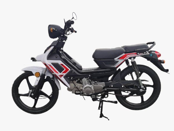 mtotosikal bajet