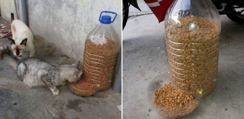 DIY cat feeder untuk kucing jalanan. Boleh praktikkan jika nak balik kampung. Modalnya, guna botol mineral jer. Mudah & praktikal!
