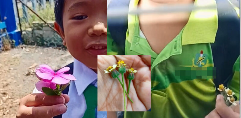 Ibu terharu setiap hari dapat bunga ketika jemput anak sekolah bikin ramai cair
