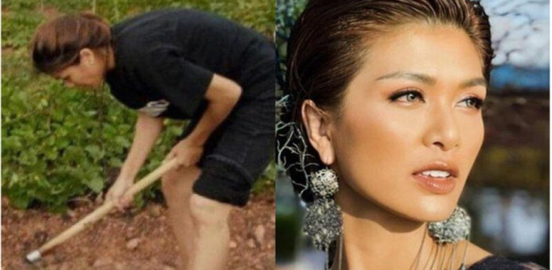 Dulu Miss Vietnam World 2010 kini petani, ibu 6 anak pilih hidup sederhana