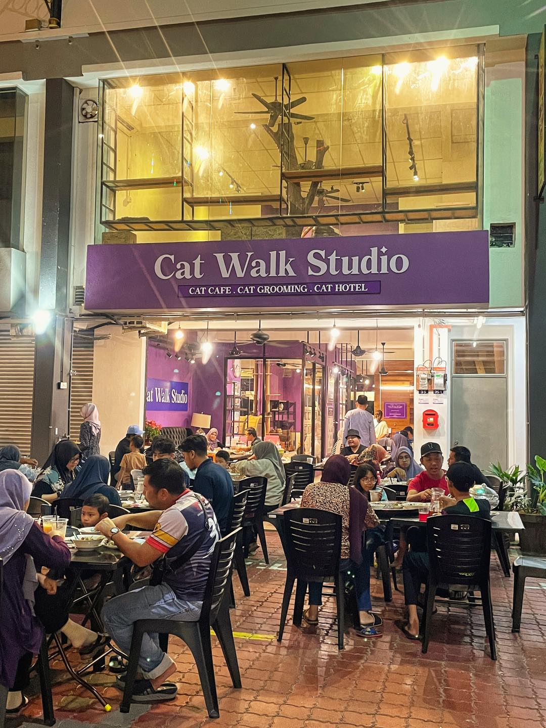 Cat Walk Studio Cafe