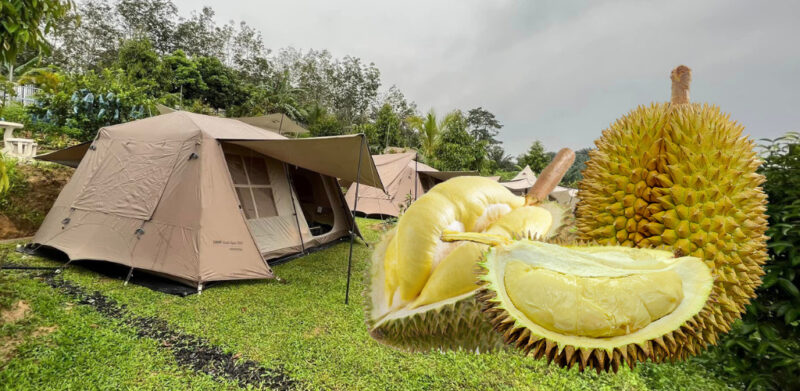 durian camping