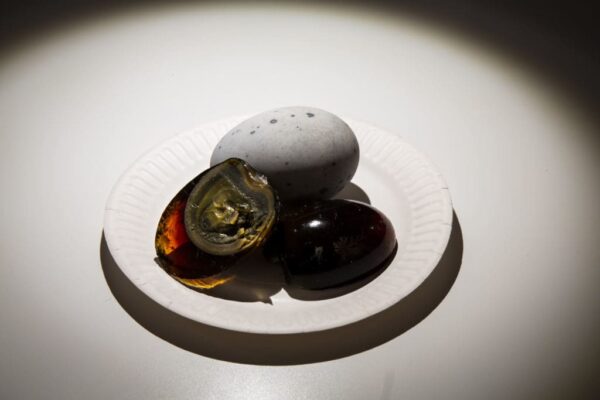 Century-Eggs-1-1-1024x683