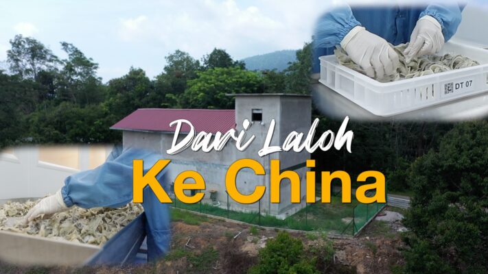 Dari Laloh ke China