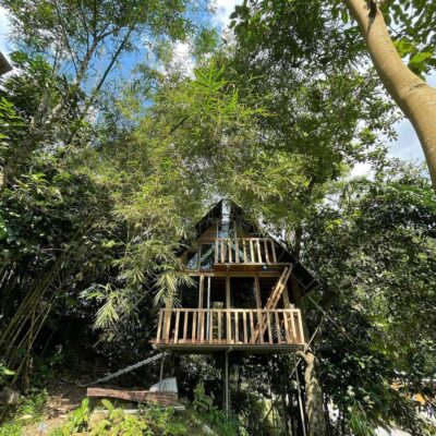 Rainforest Tree House 