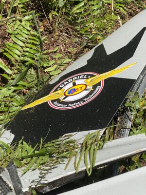 'Abang cuba cari depan sana...' Pesawat terhempas di Kapar, penduduk bantu pasukan keselamatan kesan mangsa (3)